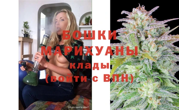 гидра Алексеевка