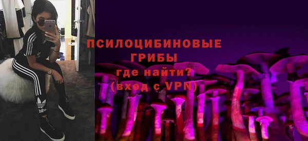 гидра Алексеевка