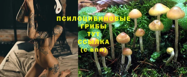шишки Алзамай