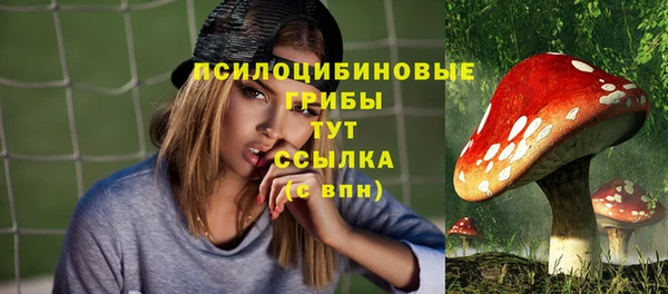 гидра Алексеевка