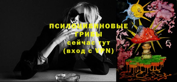 шишки Алзамай